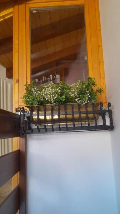 Casa Mario Appartement Riva del Garda Buitenkant foto